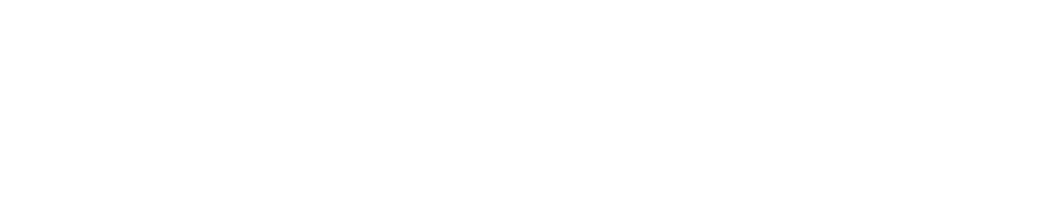 FlexLeads